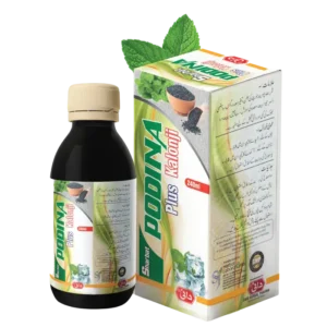 Dani Sharbat Podina, 240ml