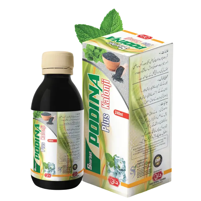 Dani Sharbat Podina, 240ml